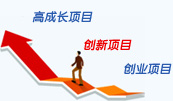 专精特新