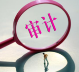 专项审计